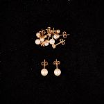 1056 2532 EARRINGS